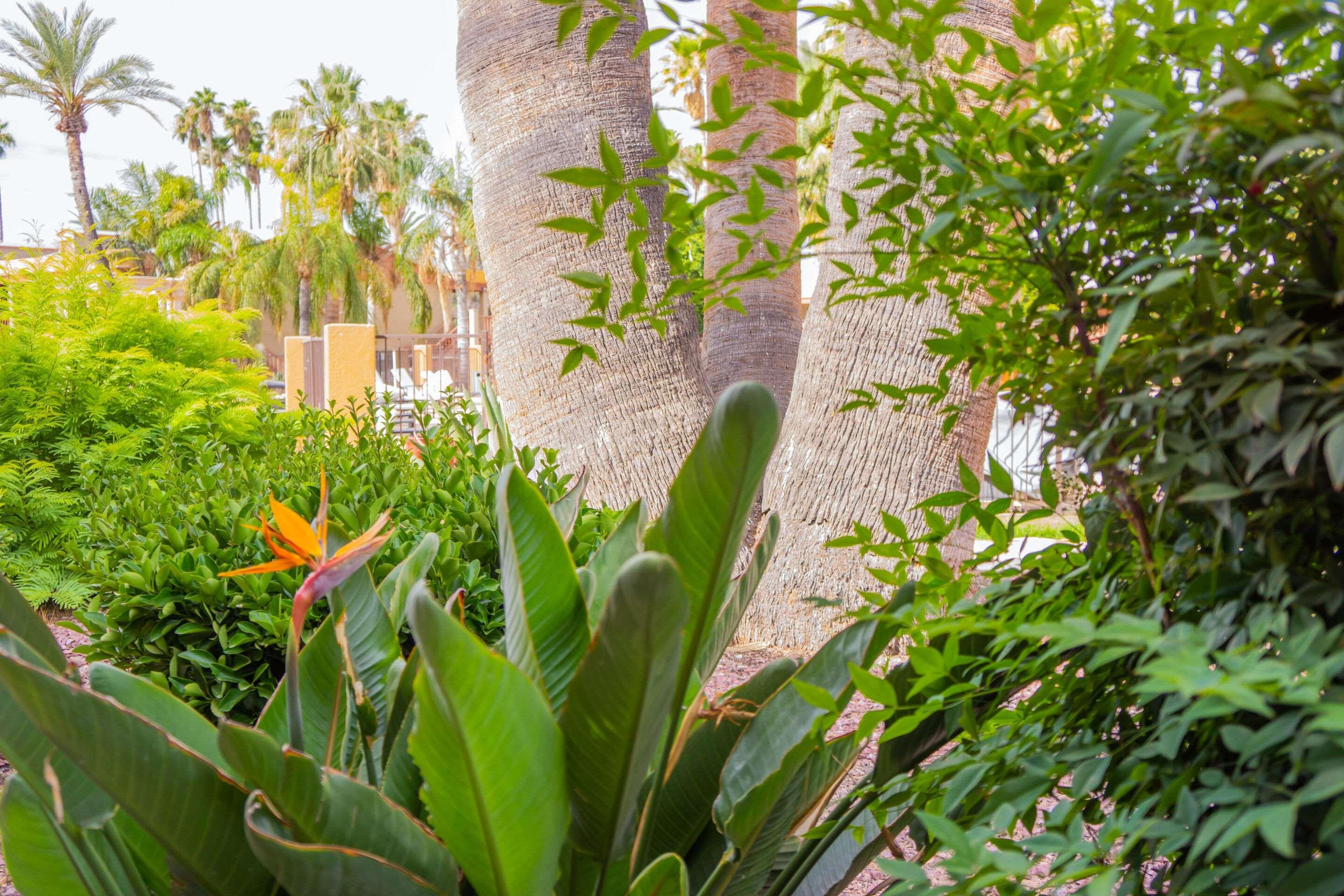 Hotel Tucson City Center, An Ascend Hotel Collection Member Exterior photo